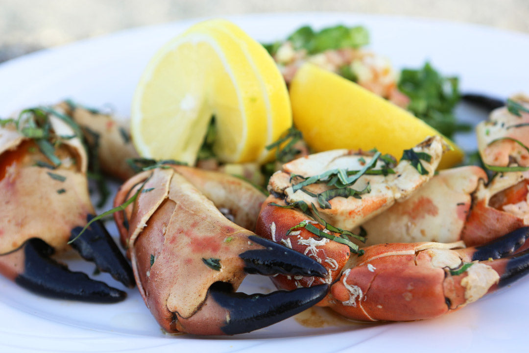 A Taste of the Coast: Seafood at The Glyde Inn, Annagassan