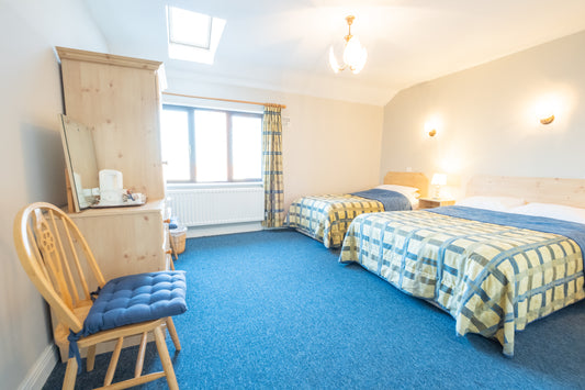Room 4 – Family Room (2 Singles and 1 Double Beds)
